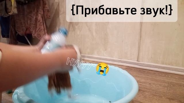 Купание морской свинки!🥞🌚✨ смотреть онлайн