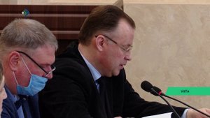 К посёлку Седью под Ухтой вышла медведица с медвежатами