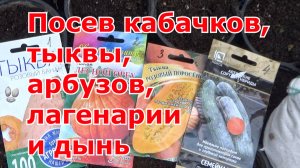 Посев бахчевых для теплицы и открытого грунта. Какие сею сорта кабачков, тыквы, арбузов, дыни и т.д.