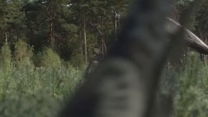 🎬 Про динозавров: Хацегоптерикс охотится на Тетисгадроса.