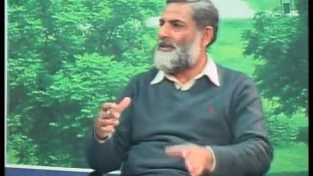 Rosella Parrot 2 смотреть онлайн