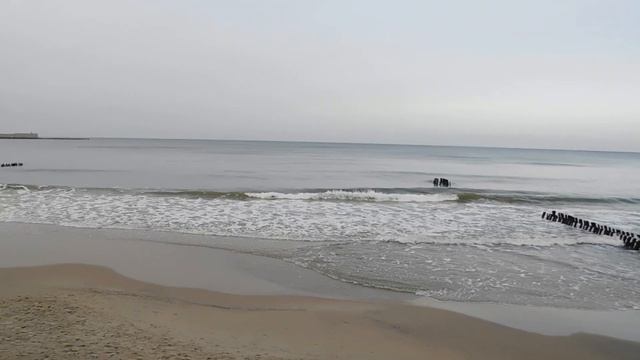 10.02.2019. Пионерский курорт. смотреть онлайн