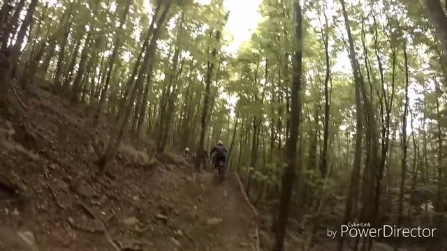 Кабанья, пиггипарк смотреть онлайн