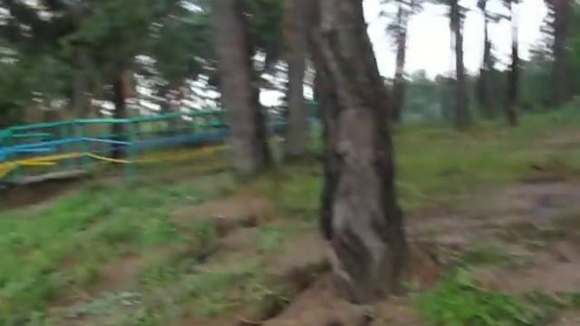 Степашки!!!!!!!!!!!!