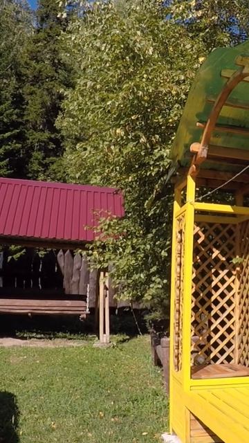 Усадьба Лебедь Турочак Республика Алтай Часть 166 #Shorts смотреть онлайн