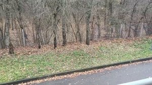 Тропикана Парк Отель Химки