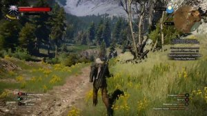 Witcher 3  Wild Hunt  Доп  задания  3 5 003  Каэр Морхен  Снаряжение школы Волка ч3