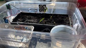 Испытания_Умная теплица