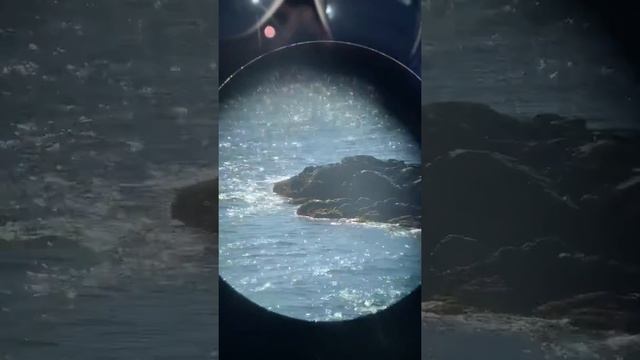 Южная Корея Пусан 2020 г. смотреть онлайн