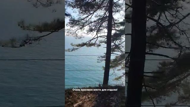 Кемпинг "Свежий Воздух" есть вопросы,пиши в комментариях 👇 #автокемпинг#кемпинг #краснодарскийкрай смотреть онлайн