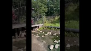 Курорт Горячинск