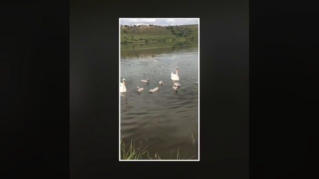 Рыбалка Ставрополь
