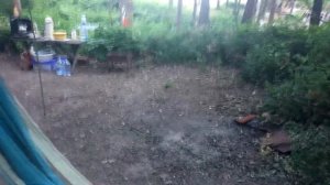 Назарова дача, идём в магазин  Енот)