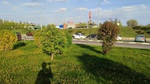 Территория возле БЛГУ Белгород 23.04.25.