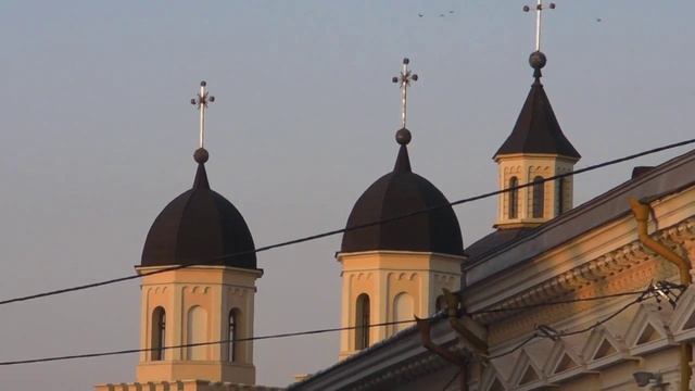 черновцы
