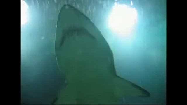 Somegoodnews.ru - Город искусств и науки. Валенсия. смотреть онлайн