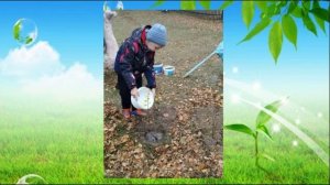 Пурнак Любовь Владимировна