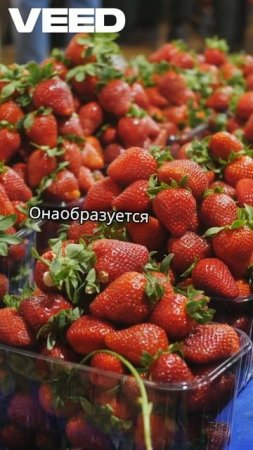 Неожиданная правда о ягодах!