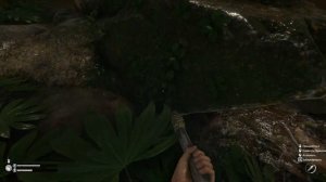 GreenHell   прохождение, 3 ритуальная чаша