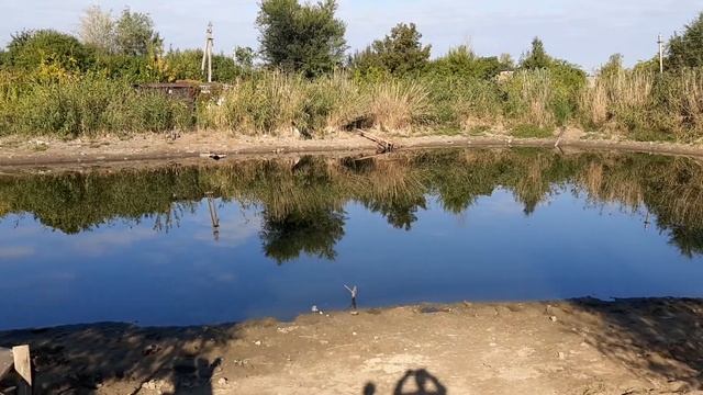 ДАЧНИКАМ ОПЯТЬ НЕ ПОВЕЗЛО. смотреть онлайн