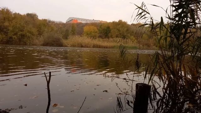 Прогулка по Александровке. Есть такие места у нас.