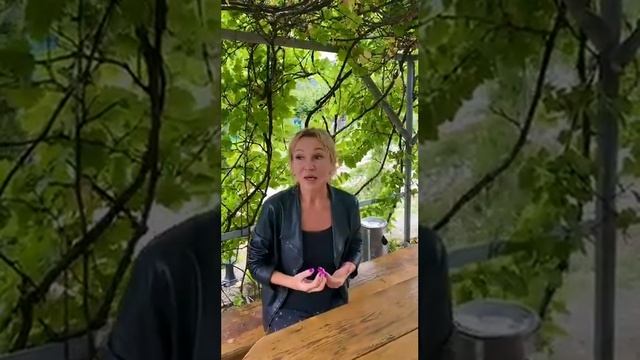 Отзыв от Надежды о б/о «Бригантина». смотреть онлайн