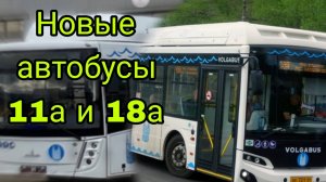 💥 ОБЗОР НА НОВЫЕ АВТОБУСЫ ПО БРУТТО-КОНТРАКТАМ 18А И 11А