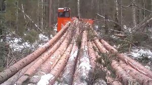 Трелёвка леса