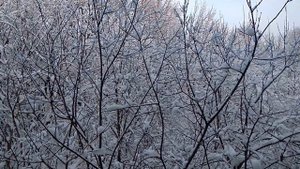 Гостиница Узкое. Москва. Вид из окна