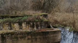 Посещение знаменитого места князей Радивилов.