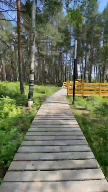 МЕДВЕЖЬЕГО́РСК, Карелия | Один день - один город | Лысый