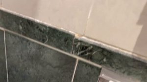 ZYA REGINA RESORT что Вас ждёт ………