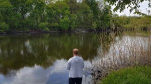 Донец сегодня