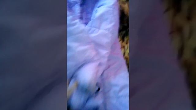 Как сделать плащ-палатку смотреть онлайн