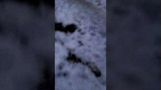 Крыша? Крыша! Пока крыша:( смотреть онлайн