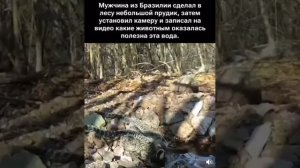 Мужчина...