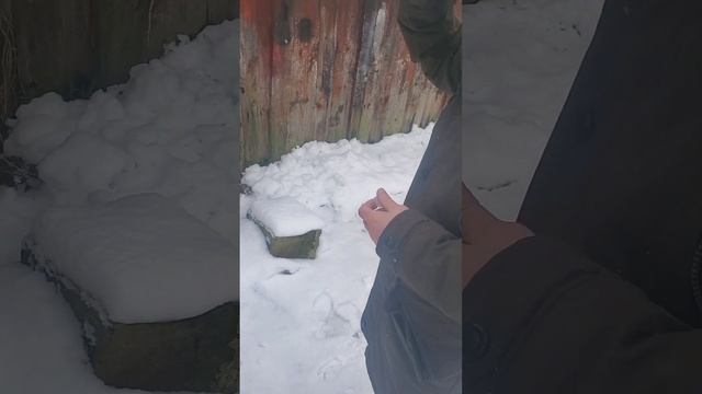 Сторож пьяный. смотреть онлайн