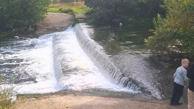 Красивые места в Лесах Нижнего Новгорода 🌲 смотреть онлайн