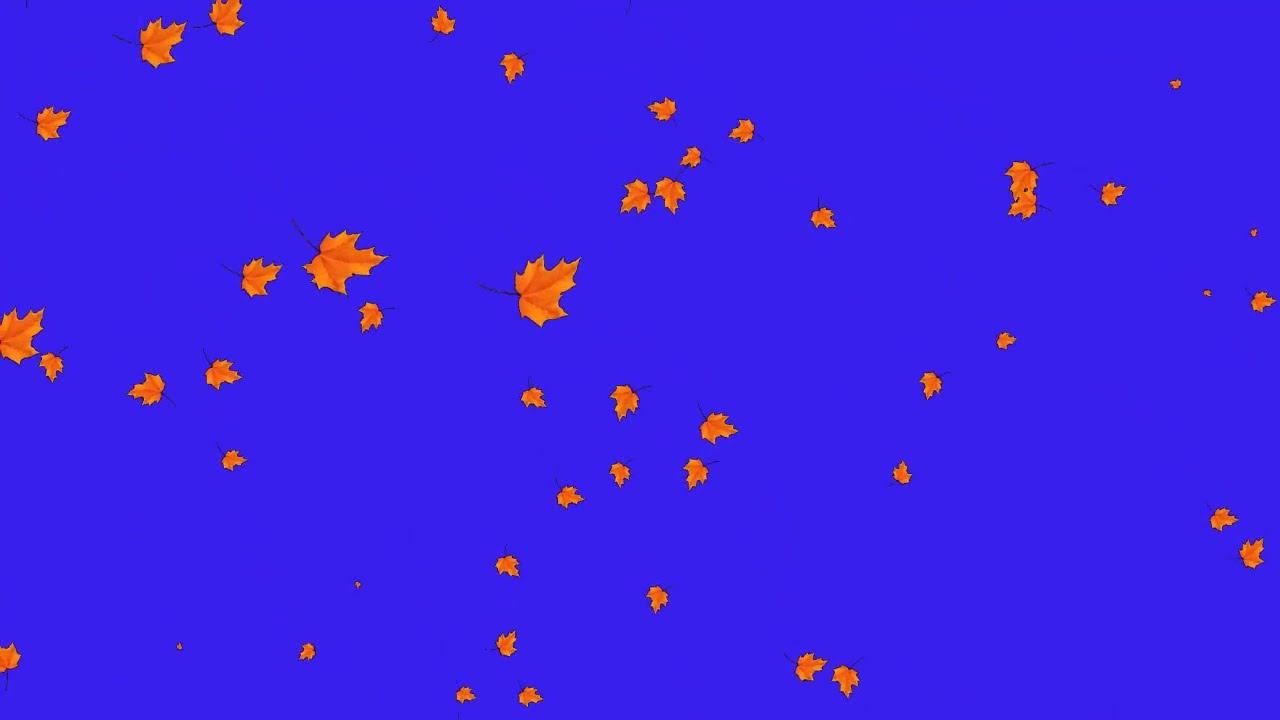 Футаж Хромакей Осенний ЛистопадКленовые листья смотреть онлайн