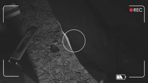 КАК ЗАНЯТЬСЯ КЕМПИНГОМ С НУЛЯ | ПОЧЕМУ ОН ТОГО СТОИТ?