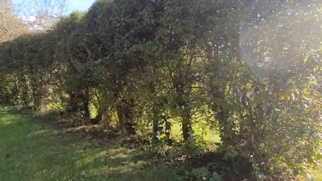 A Season of Mellow Fruitfulness. Октябрь в Англии смотреть онлайн