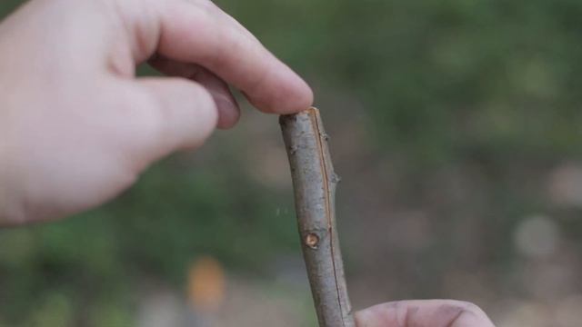 Не забудьте сделать свою жизнь в походе комфортнее смотреть онлайн