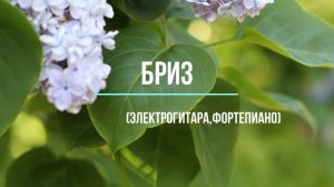Авторская музыка: Бриз.