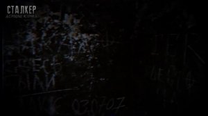 S.T.A.L.K.E.R. ЩЕНОК. Фантастика. Мистика. Страшные истории на ночь.