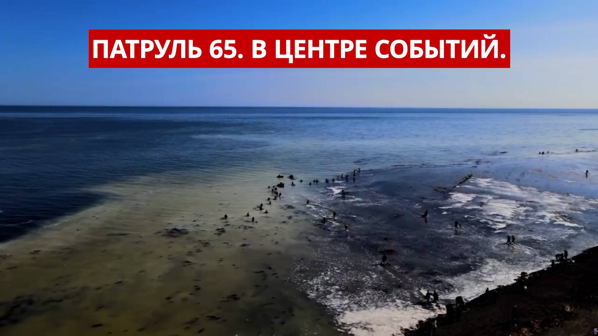 Патруль 65: Медвежья угроза. Селёдочный ажиотаж. Контрабанда гребешка.. 23.04.25