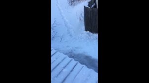 ПРЫЖОК С КРЫШИ//ЧУТЬ НЕ УБИЛСЯ!!!