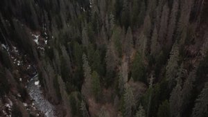 Домбай мини фильм