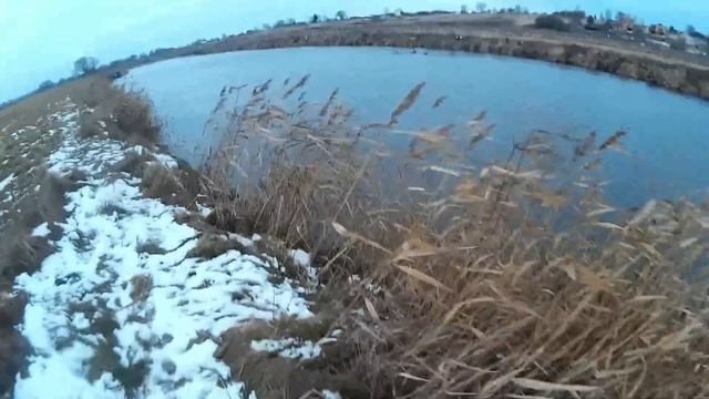 Охота на утку. Закрытие сезона 2014