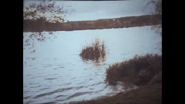 Деревня наша Деревная