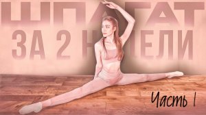 ШПАГАТ за 2 НЕДЕЛИ?!!